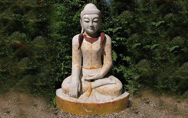 buddha-pictures-1-large.jpg