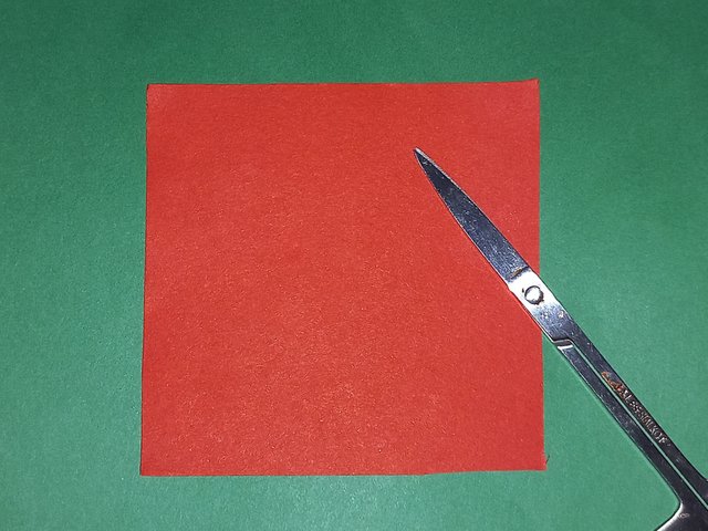 20250403_181040.jpg