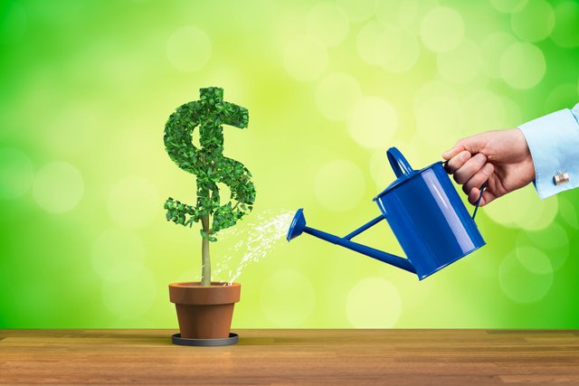 getty-growing-cash-making-money-growth-dollar-sign-watering-plant.jpg