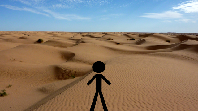 adult in desert.png