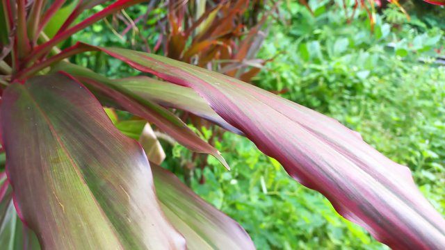 20220926_111142.jpg