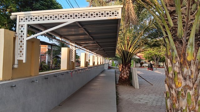 20250805_182401.jpg