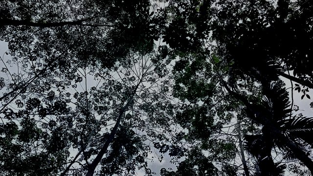 IMG_20250803_102458.jpg