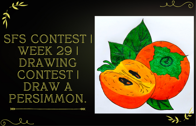 SFS Contest  Week 29 Drawing Contest  Draw A Persimmon.png