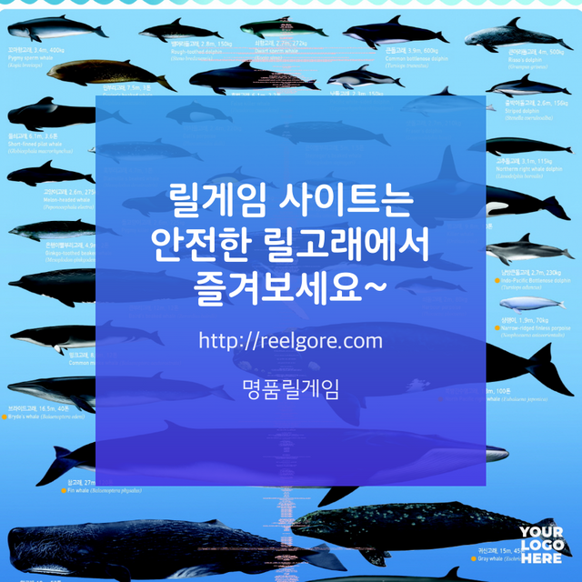 릴고래타일.png