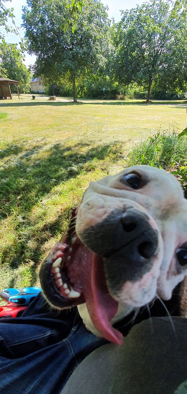 20200723_160335.jpg