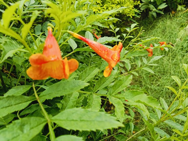 IMG-20250916-.jpg