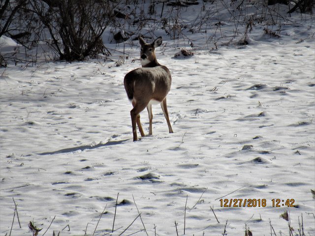 IMG_0171.JPG