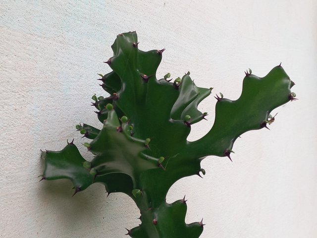 20250705_132954.jpg
