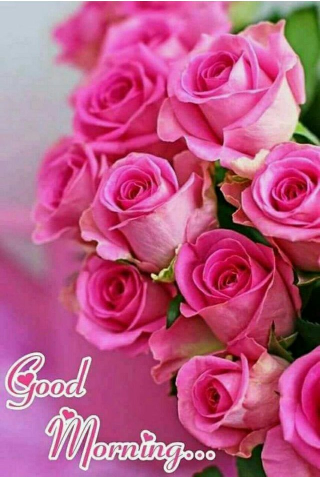 Good Morning Bunch Of Roses Images Good Morning Bunch Of Flowers