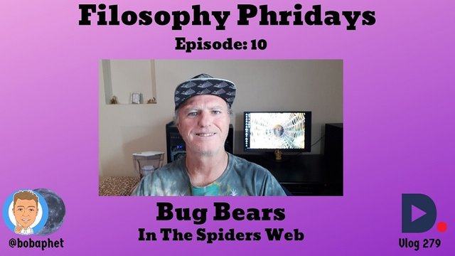 279 Filosophy Phridays Episode 10 - Bug Bears In The Spiders Web Thm.jpg