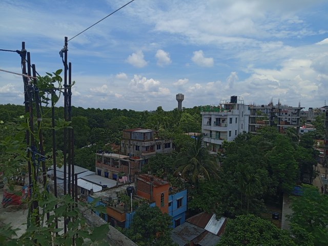 1000010517.jpg
