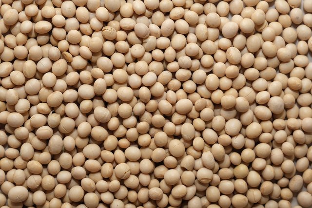 soy-bean-4994576_1280.jpg