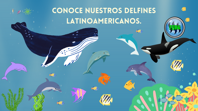 nuestros Delfines LAtinoamericanos..png