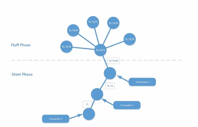 dandelion-mimblewimble.webp