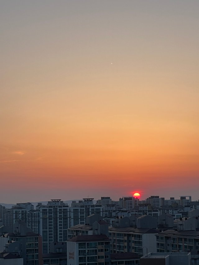 IMG_6922.jpeg