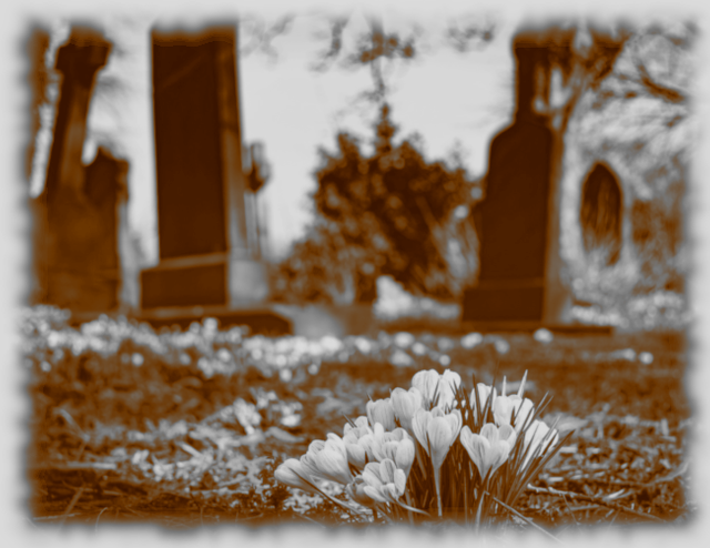 cementerio editado antiguo.png