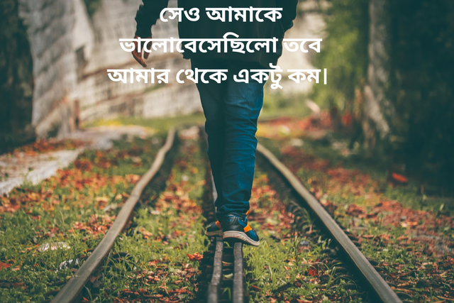 8bf641c3-3925-4a67-a938-42de83897dbe.jpg.png