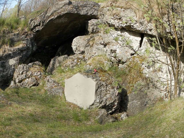 P5090026.JPG