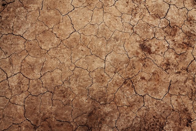 arid-21799_1280.jpg