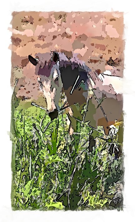 IMG_20220116_103205_022_FotoSketcher.jpg