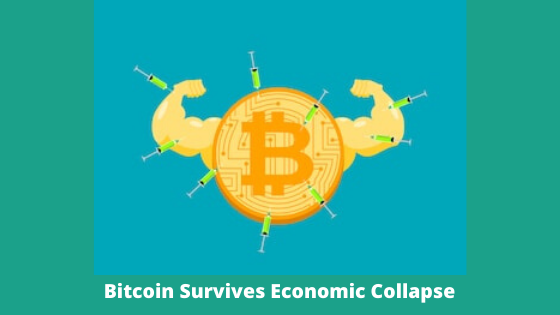 Bitcoin Survives Economic Collapse-1.png