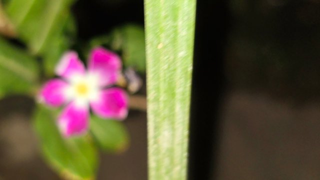 20250706_021814.jpg