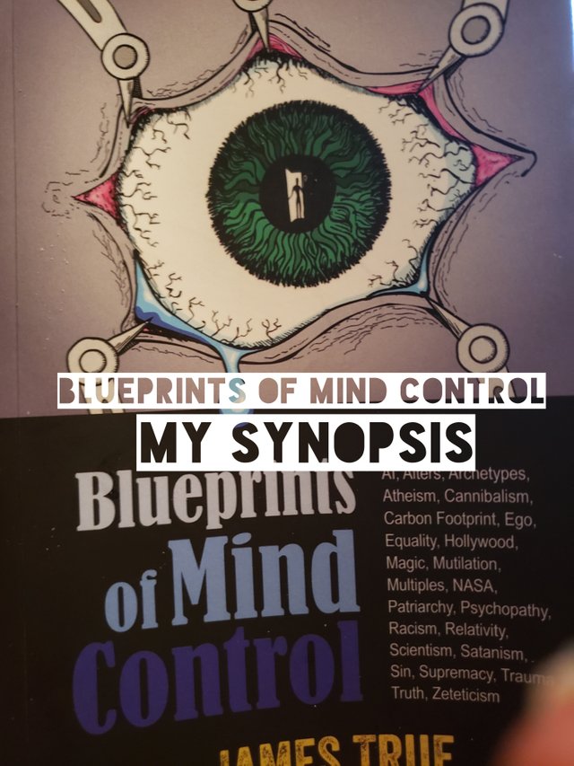 blueprintsofmindcontrol.jpg