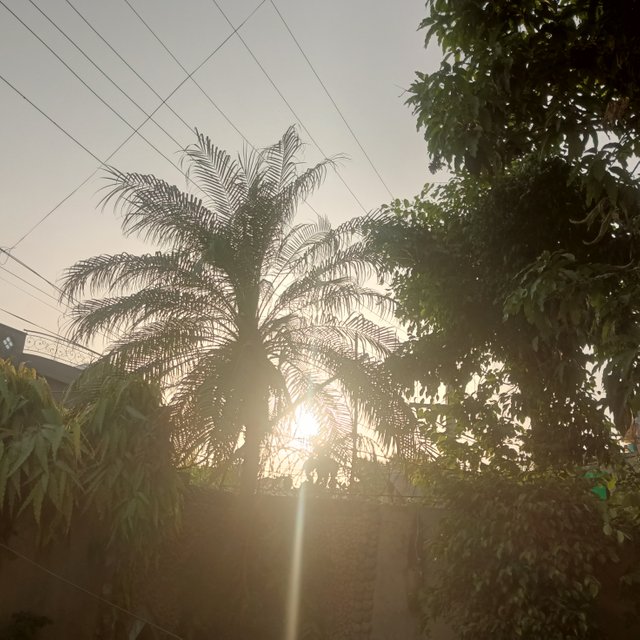 IMG_20250420_174755_099.jpg
