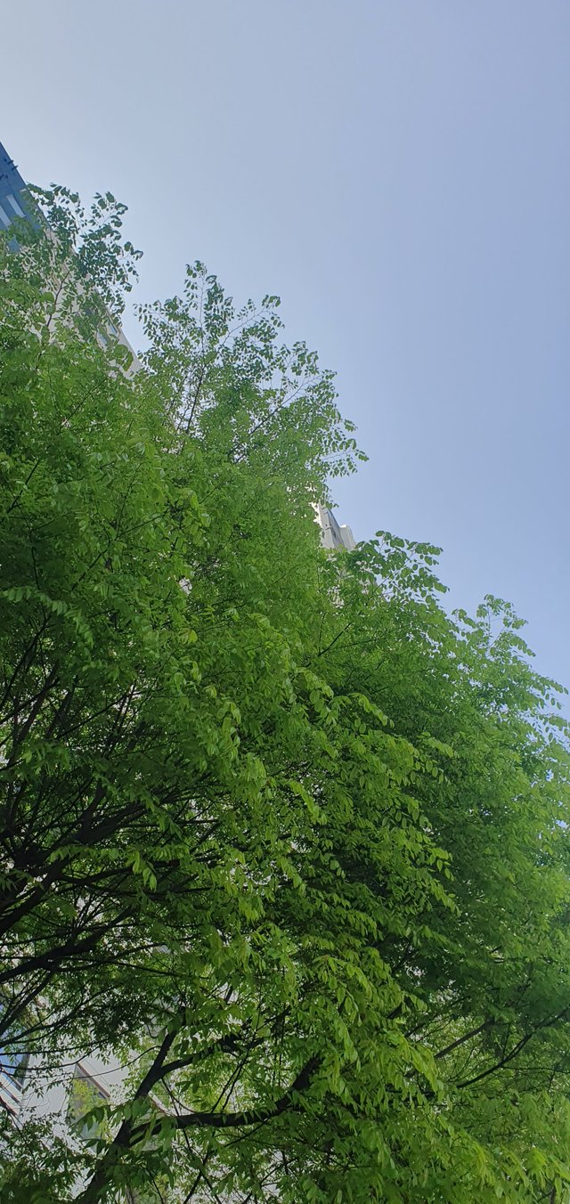 20250424_094243.jpg
