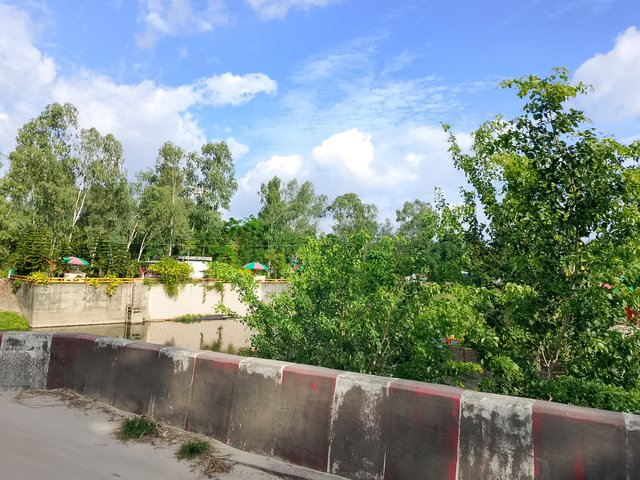 1000044613.jpg