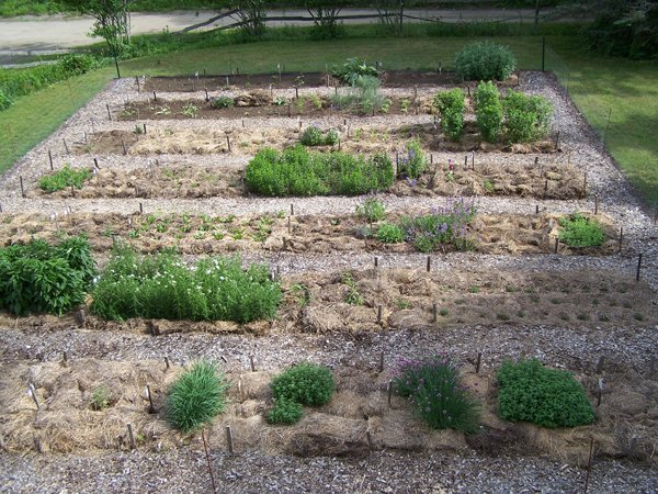 New Herb garden - all planted crop June 2018.jpg