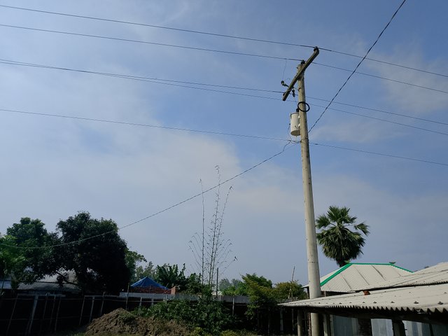 1000045578.jpg