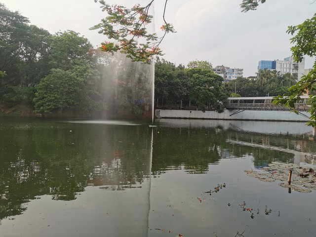 IMG_20240608_164010.jpg