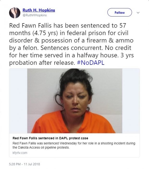 Red-Fawn-e1531594861963.jpg