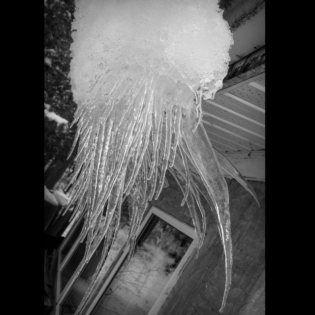 ice sculptures on our roof icicles.JPG