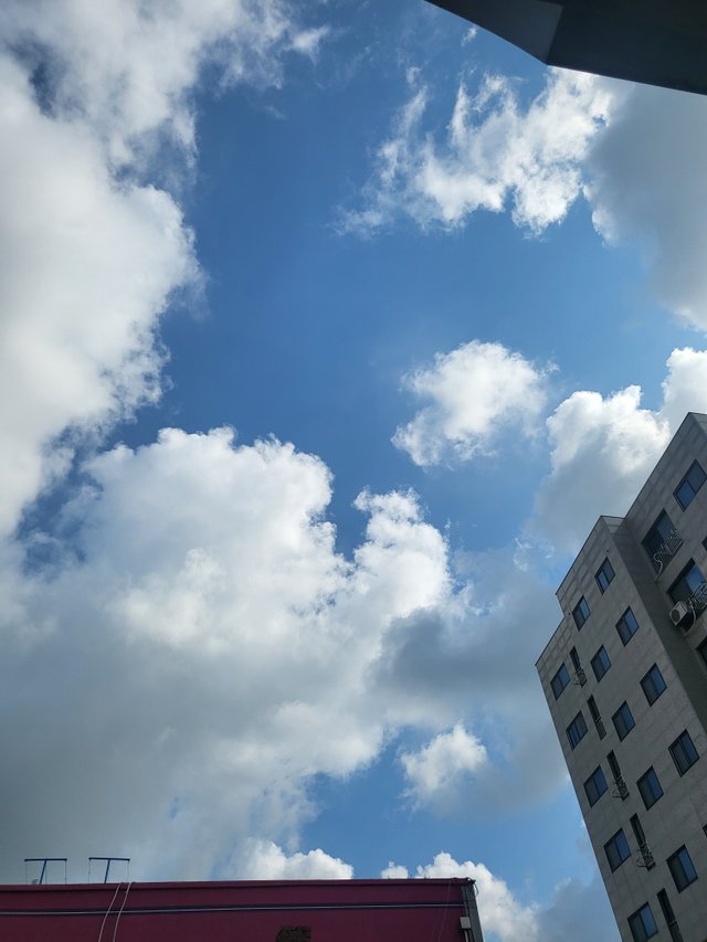 1000020405.jpg