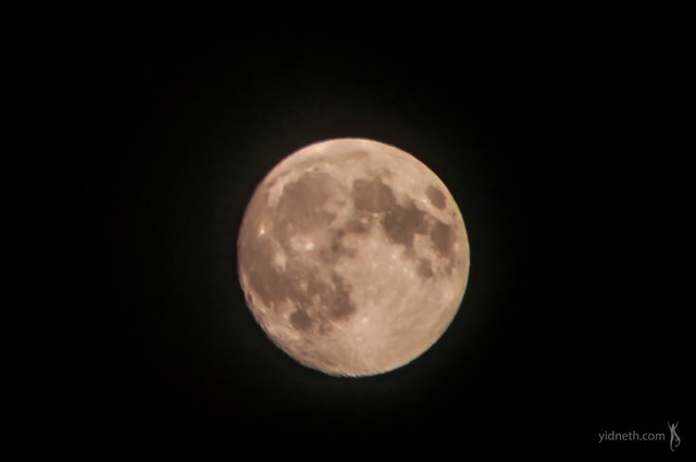 moon - by Priscilla Hernandez (yidneth.com).jpg
