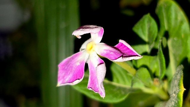 20250706_021847.jpg
