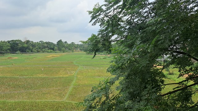 20240519_100207.jpg