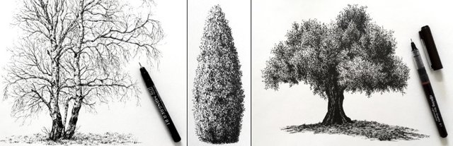 pen-tree-drawings.jpg