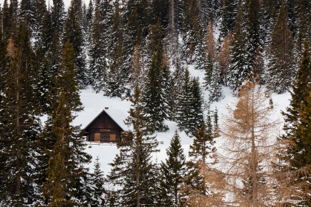 2019-01-27-Dobratsch-Cabin-01.jpg