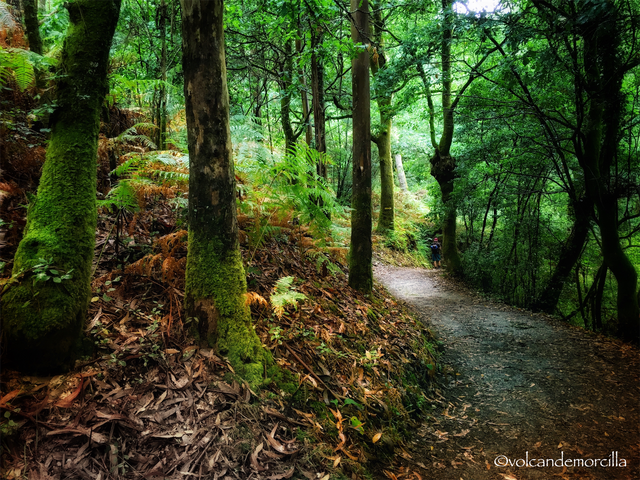 05FD2011-2425-4AE5-84B9-D07D88677F26.png