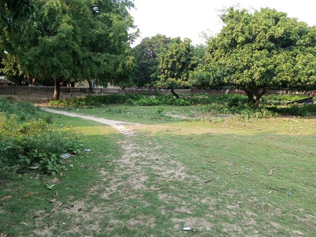 IMG_20250426_161547_854.jpg