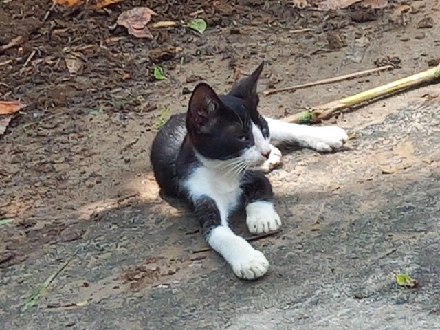 20250602_113421.jpg