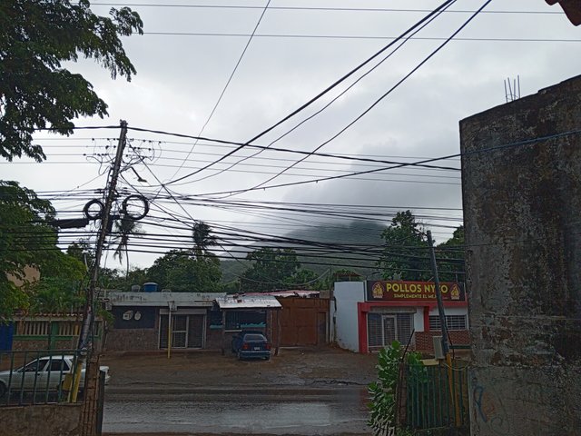 IMG_20241219_092631_964.jpg
