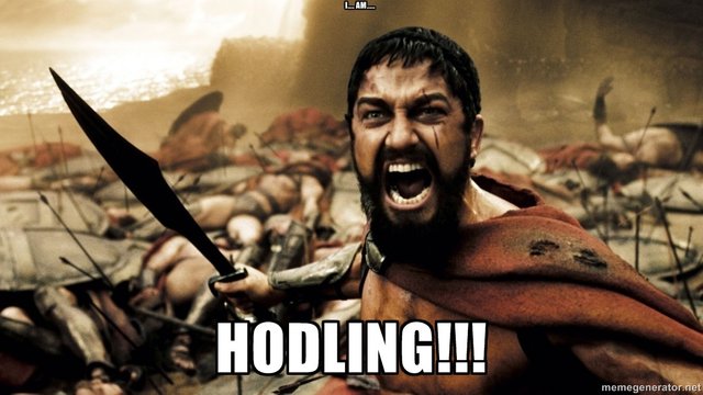 hodling.jpeg