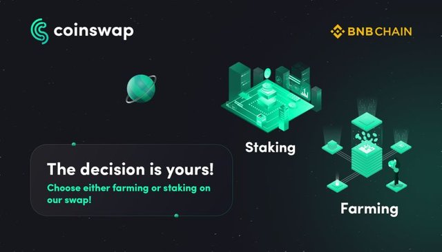 The decision is yours! Choose either farming or staking on our swap!.jpeg