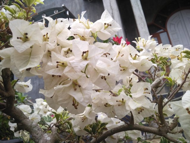 IMG20210405180215.jpg