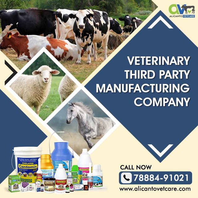 Veterinary-Third-Party-Manufacturing-Company.jpg